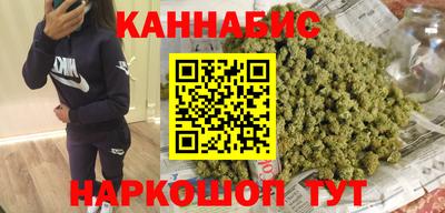 крисы Камышлов