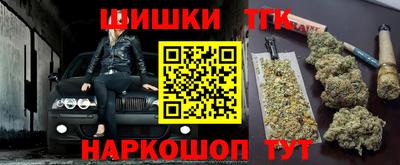 крисы Камышлов