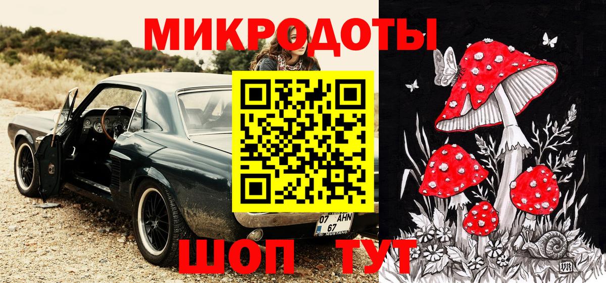 Псилоцибиновые грибы Psilocybine cubensis Череповец